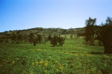 124_19.04.-Abtei S. Antimo in Crete